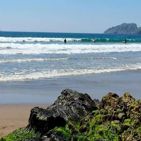 Beachcove Pensionat Cill Airne